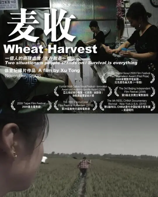 《麦收》：笑到头掉！《全明星》+《好奇的乔治》缝合怪？但就是好看，不接受反驳！