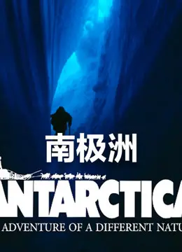 《南极洲》：冰冷背后藏着惊天秘密？全程高能，你敢来看吗？